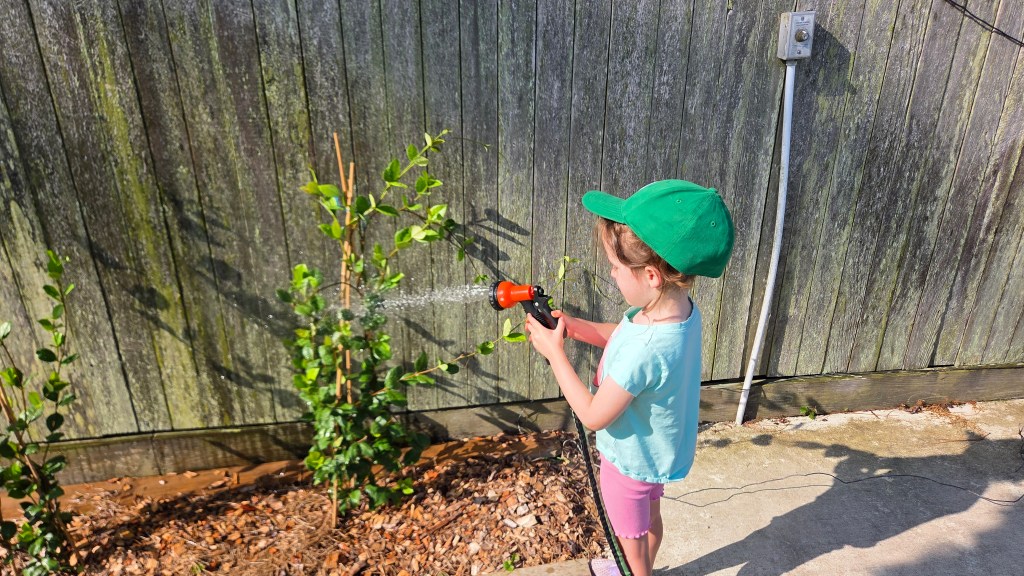A young girl wearing a green cap waters a small plant with a hose in a backyard.