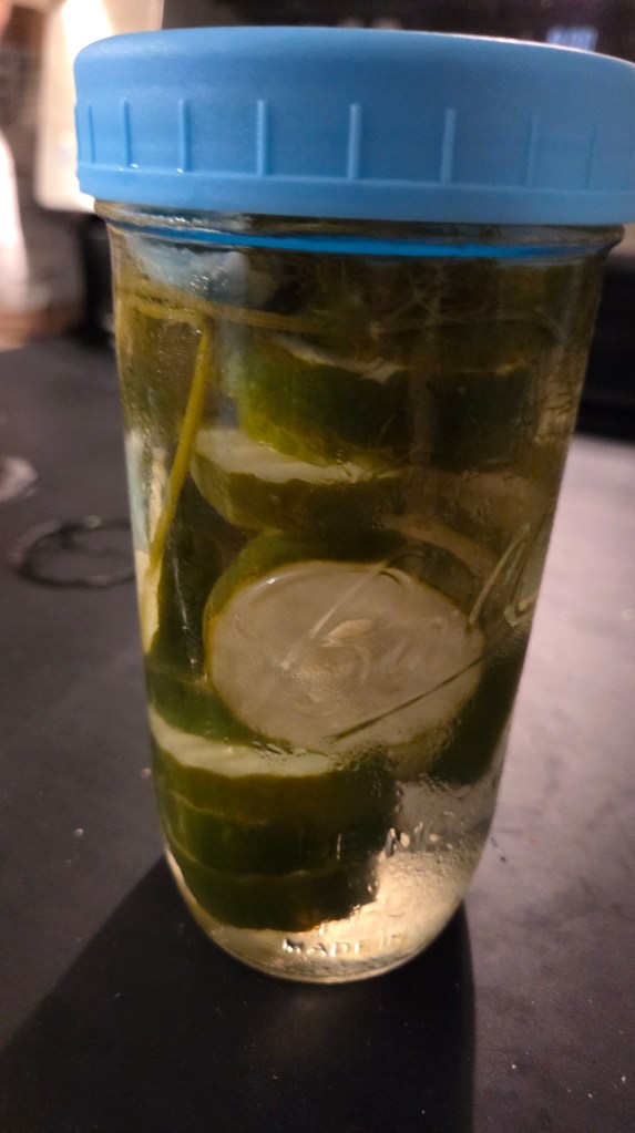 A mason jar filled with sliced limes and herbs, sealed with a blue lid, sitting on a dark surface.
