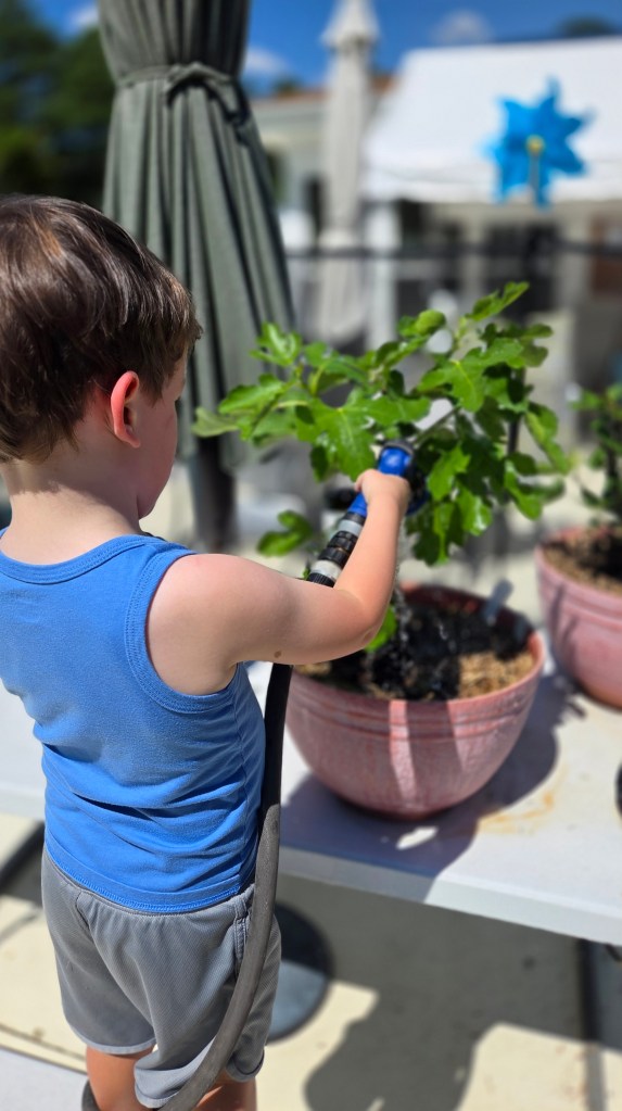 A young boy in a blue tank top uses a hose to water a plant in a pink pot on a sunny day.